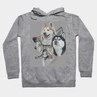 Siberian Husky Hoodie